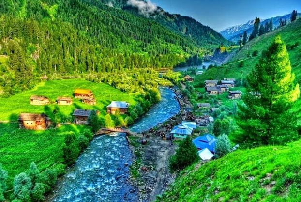 Sonamarg Meadows