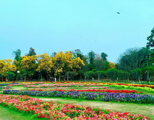 Nehru Park