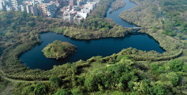 Yamuna Biodiversity Park